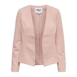 Blazer Court rose