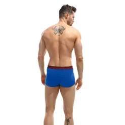 Boxer - Bleu