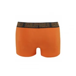Boxer Friend by Smiley POMM'POIRE - Orange
