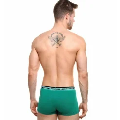 Boxer - Vert