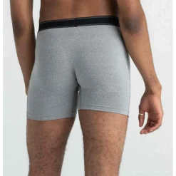 Boxer Daytripper - Gris Saxx