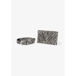 Ceinture AUBANE gris Wynn