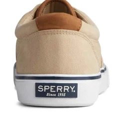Chaussures Vulcanisée Pour Homme STRIPER II CVO - Coton beige