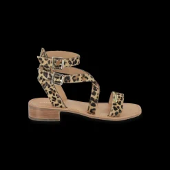 HOCEANPO LEOPARD