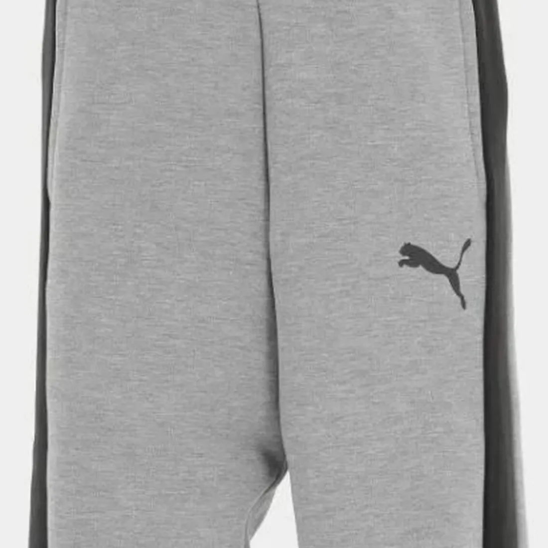 Jogging en coton gris EVS CR - Puma