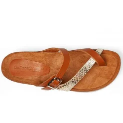 Mule femme ZAPISYN Marron