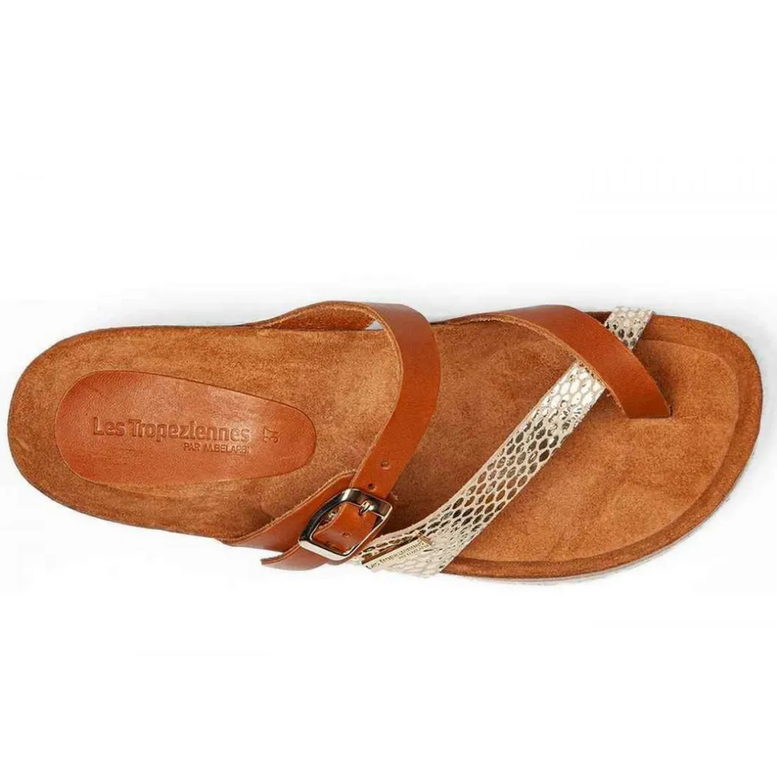 Mule femme ZAPISYN Marron