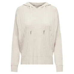 Pull en maille sweat à capuche sweat à capuche gris clair Agnes