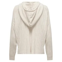 Pull en maille sweat à capuche sweat à capuche gris clair Agnes