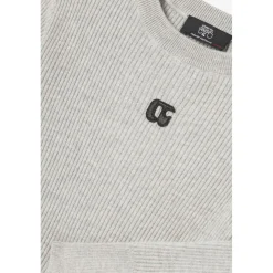 Pull STEFYGI gris en viscose Alia