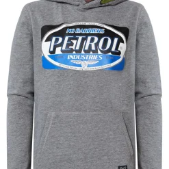 Sweat à capuche garçon gris clair en coton