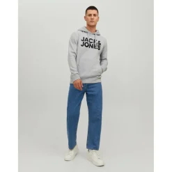 Sweat à capuche Standard Fit Manches longues Gris Clair Vince