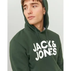 Sweat à capuche Standard Fit Manches longues Vert foncé Remy