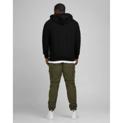 Sweat à capuche zippé Regular Fit Manches longues Noir en coton Troy