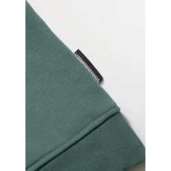 Sweat garçon Leonbo vert sapin en coton