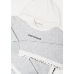Sweat-Shirt capuche garçon COLORABO gris