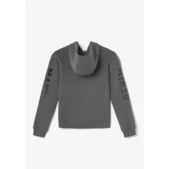 Sweat-Shirt capuche garçon YAMABO gris en coton
