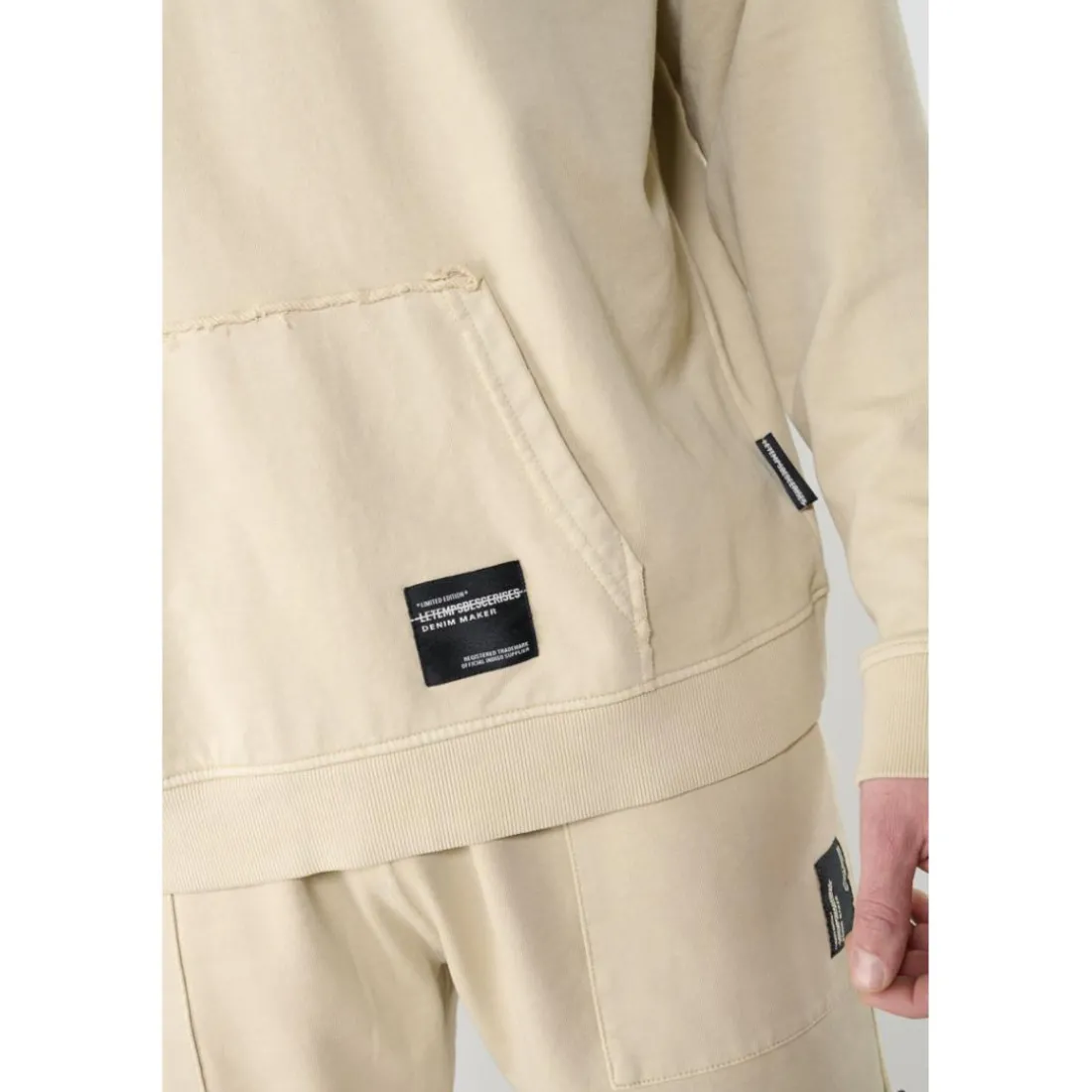 Sweat-Shirt capuche garçon ANIBO marron en coton Cy