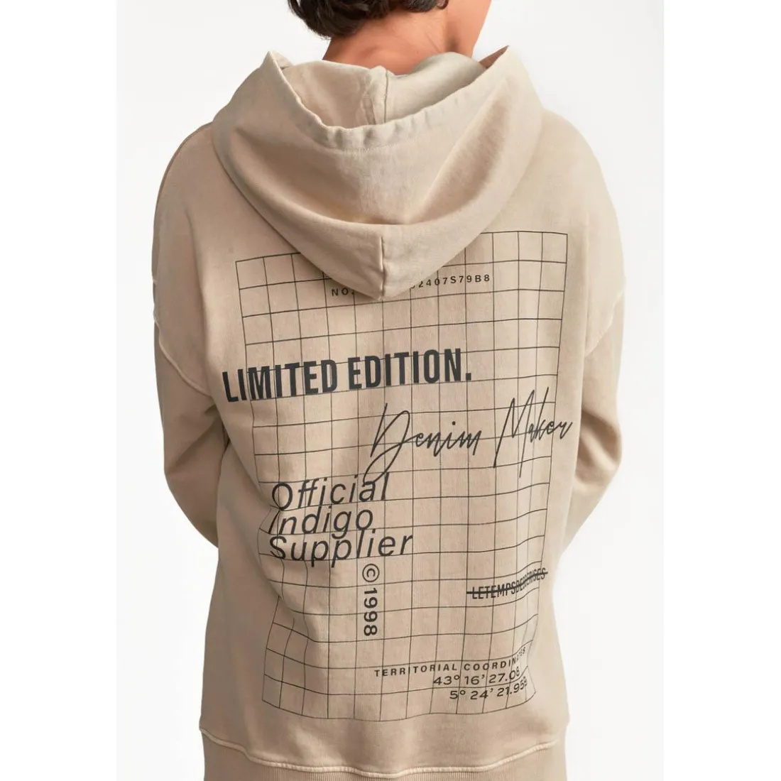Sweat-Shirt capuche garçon ANIBO beige en coton