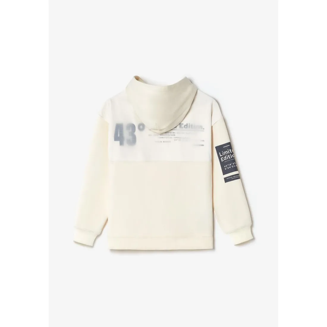 Sweat-Shirt capuche garçon BRUNOBO blanc en coton