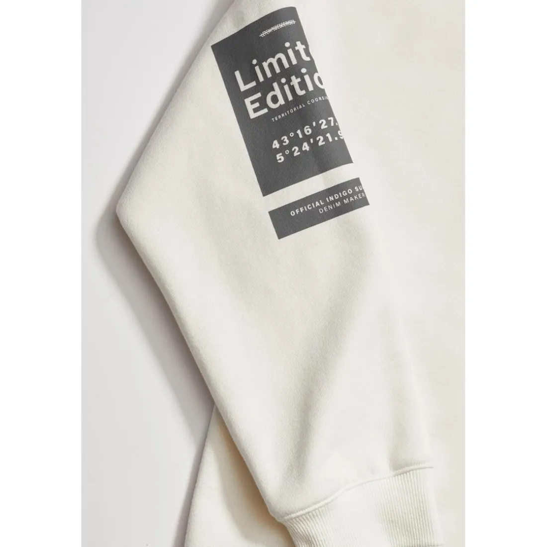 Sweat-Shirt capuche garçon BRUNOBO blanc en coton