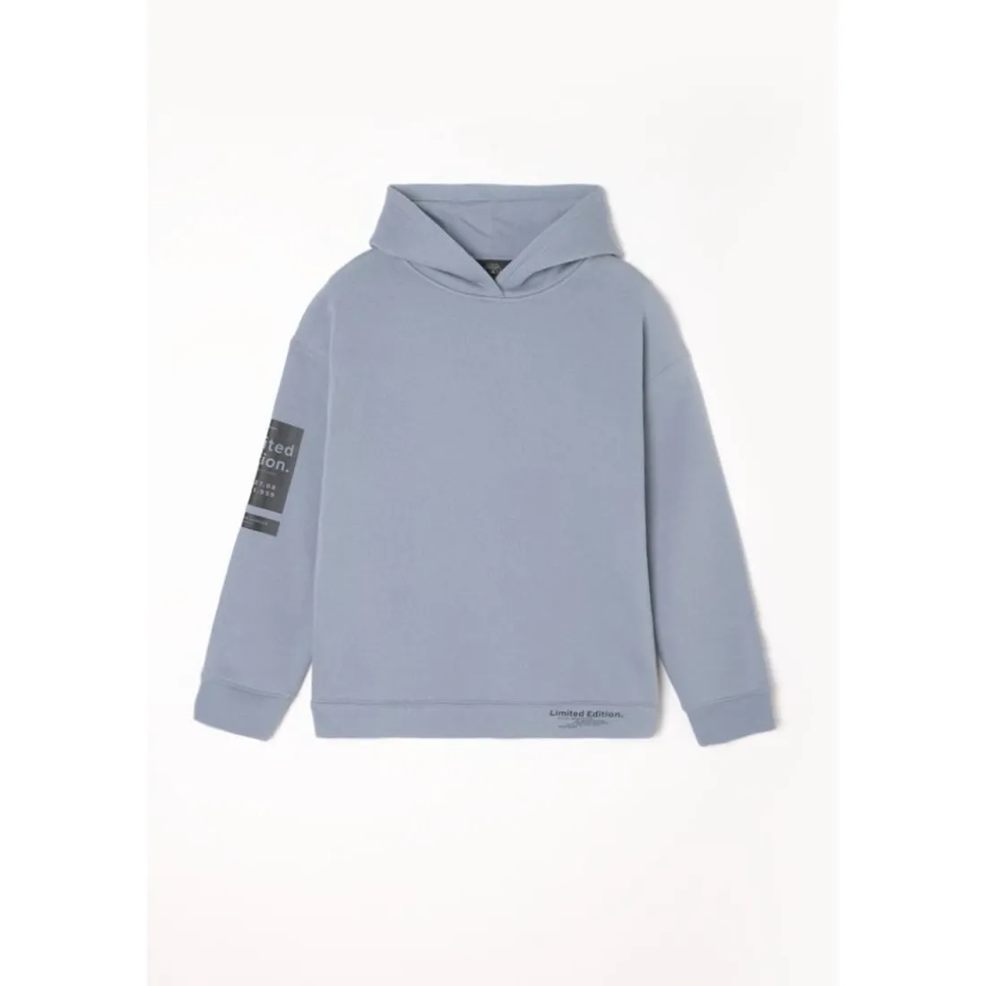 Sweat-Shirt capuche garçon RUINOBO gris Sal en coton
