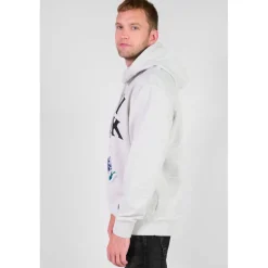 Sweat-Shirt capuche LAM gris Ira