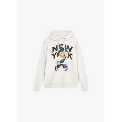 Sweat-Shirt capuche LAM gris Ira