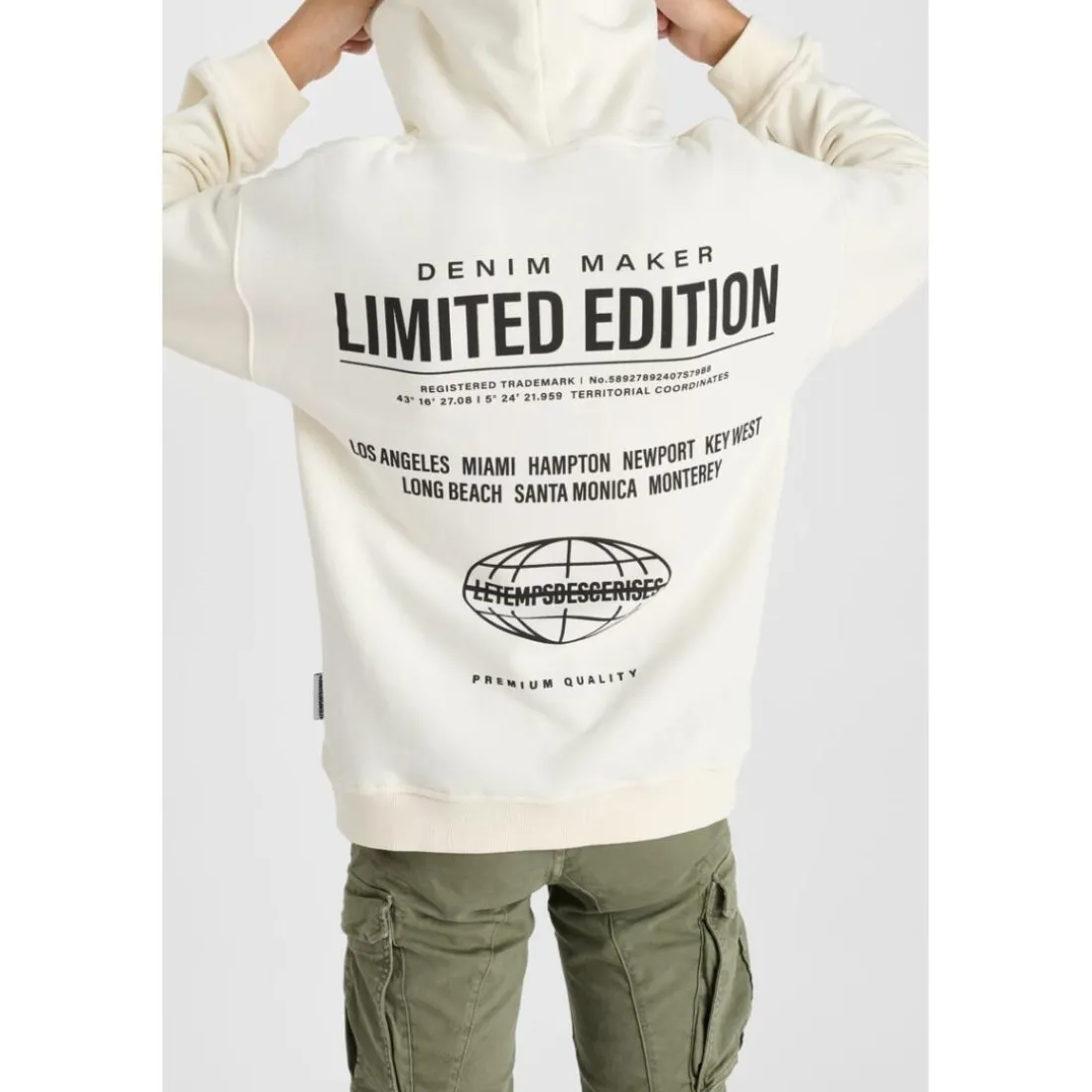 Sweat-Shirt capuche RULBO beige Hal