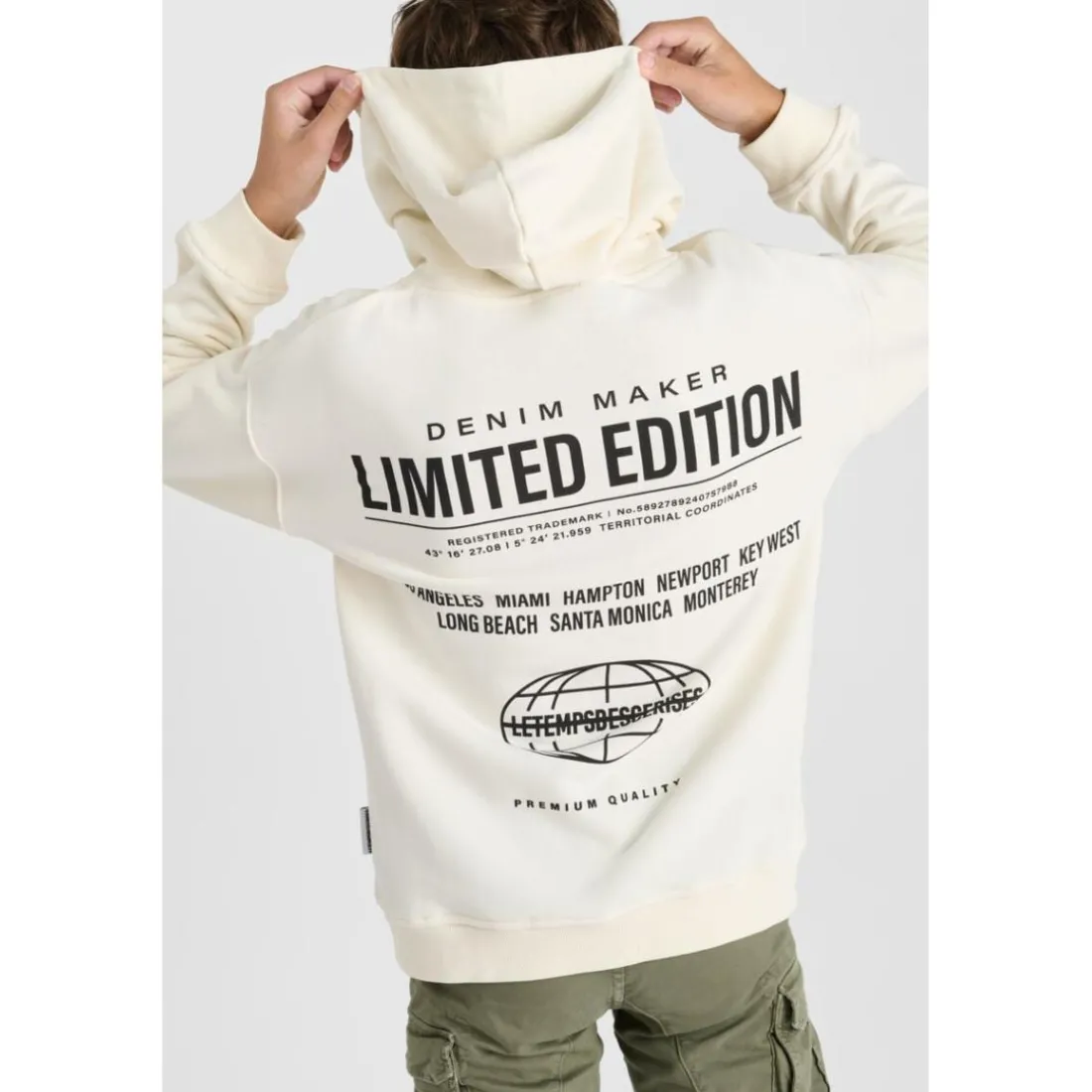 Sweat-Shirt capuche RULBO beige Hal
