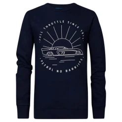 Sweatshirt garçon bleu en coton