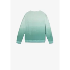 Sweat-Shirt garçon VENICEBO vert