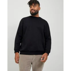 Sweat-shirt Relaxed Fit Col ras du cou Manches longues Noir Aiden