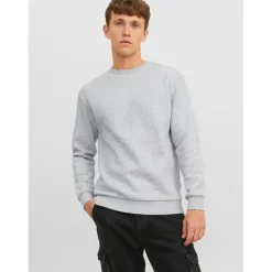 Sweat-shirt Relaxed Fit Col ras du cou Manches longues Gris Clair Wade