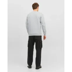 Sweat-shirt Relaxed Fit Col ras du cou Manches longues Gris Clair Wade