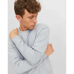 Sweat-shirt Relaxed Fit Col ras du cou Manches longues Gris Clair Wade
