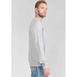 Sweat-Shirt STIPA gris en coton