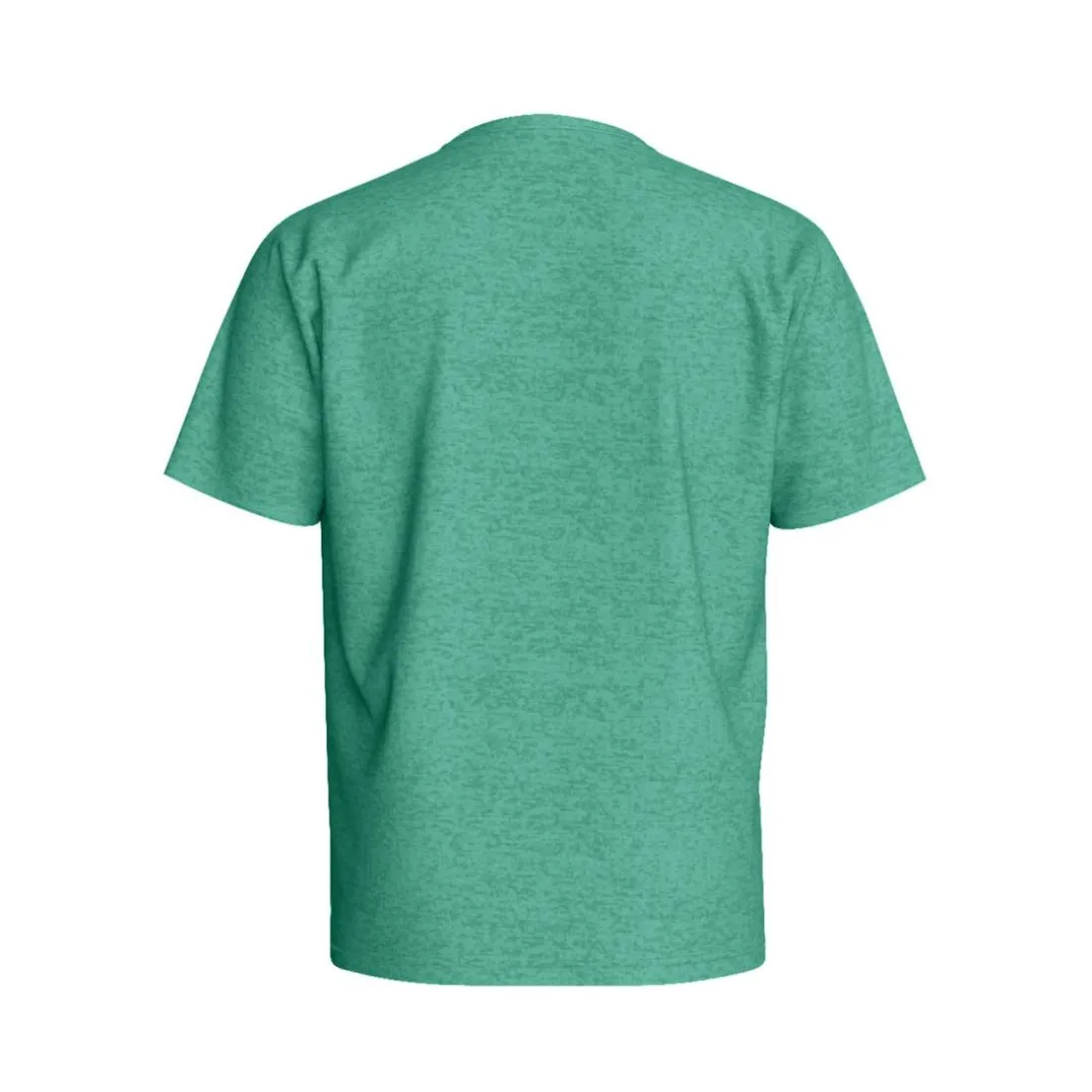 Tee Shirt Manches Courtes en coton PACCO Mentho menthe