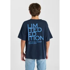 Tee-Shirt garçon ARIBO bleu Ian en coton