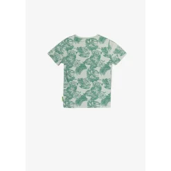 Tee-shirt garçon BANSYBO vert