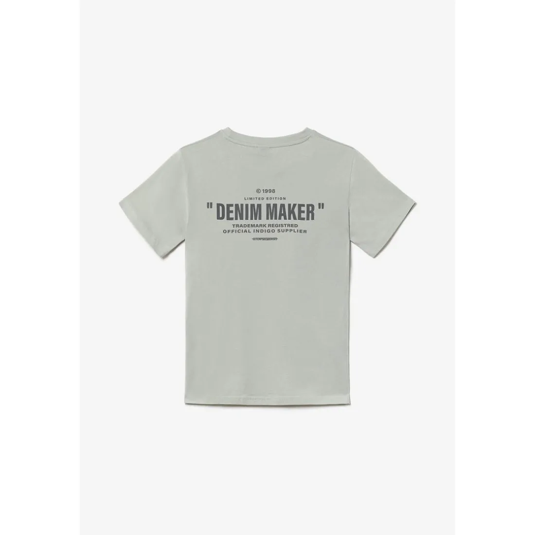 T-shirt garçon Shumbo gris clair en coton