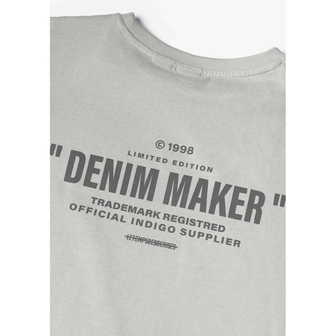 T-shirt garçon Shumbo gris clair en coton