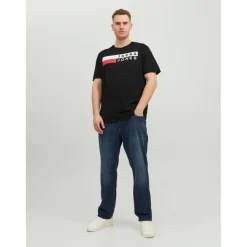 T-shirt Regular Fit Col rond Manches courtes Noir en coton Flynn