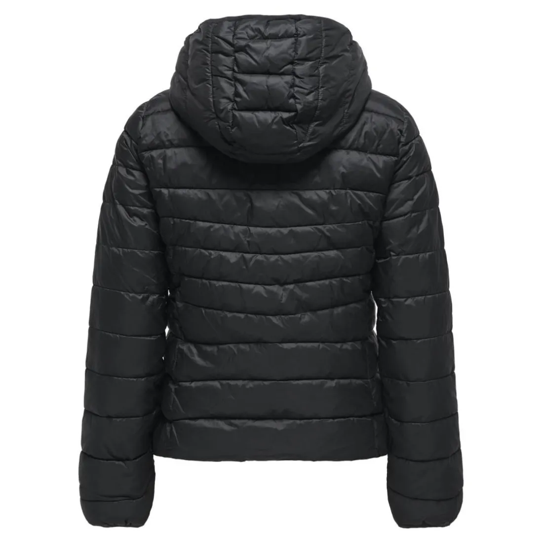 Veste capuche noir en nylon Lane